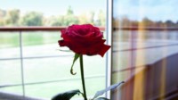 Weihnachten auf der A-ROSA Kreuzfahrt Weihnachten auf der A-ROSA Kreuzfahrt
